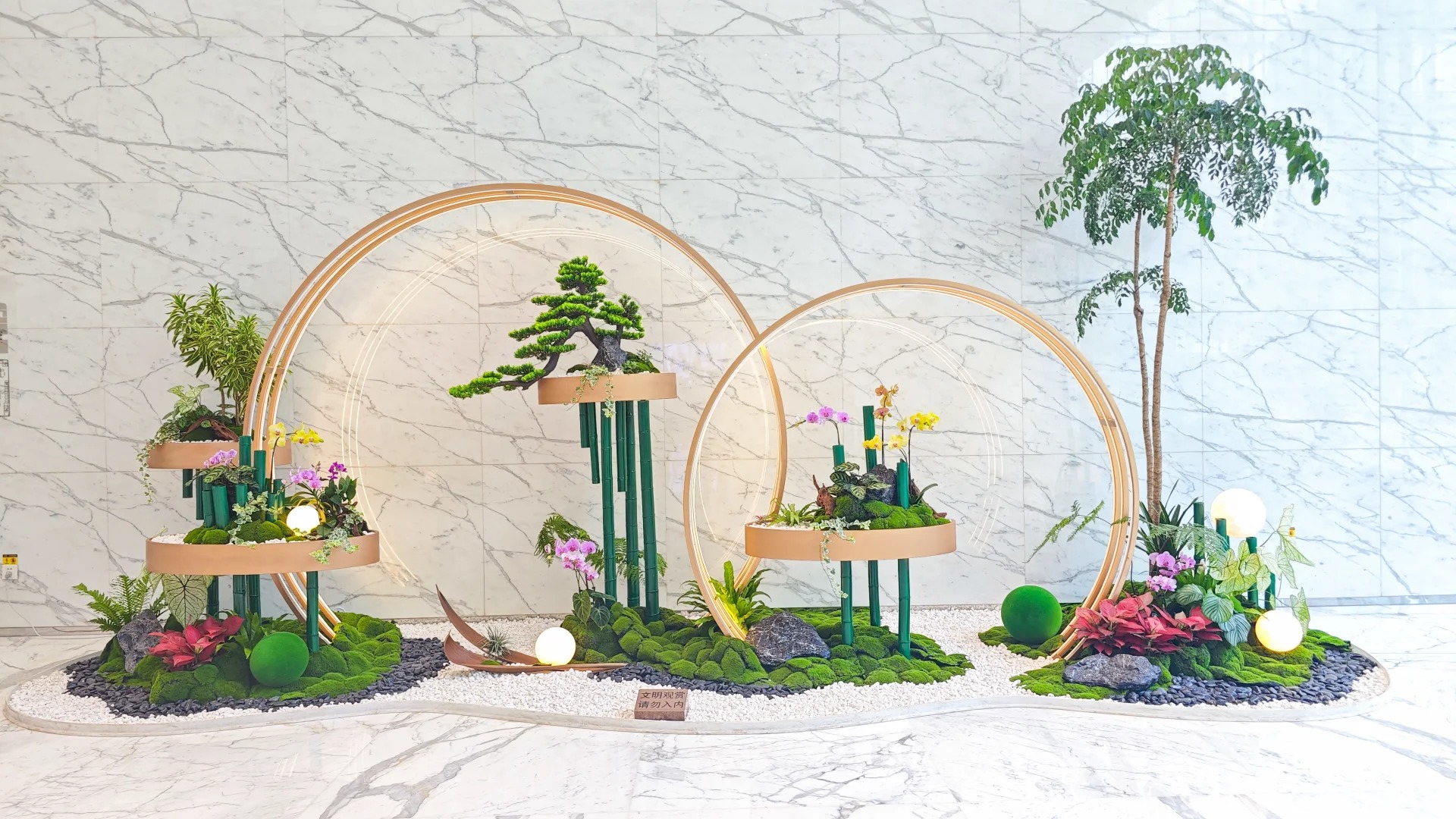 专业海曙花木出租，开启绿色生活篇章